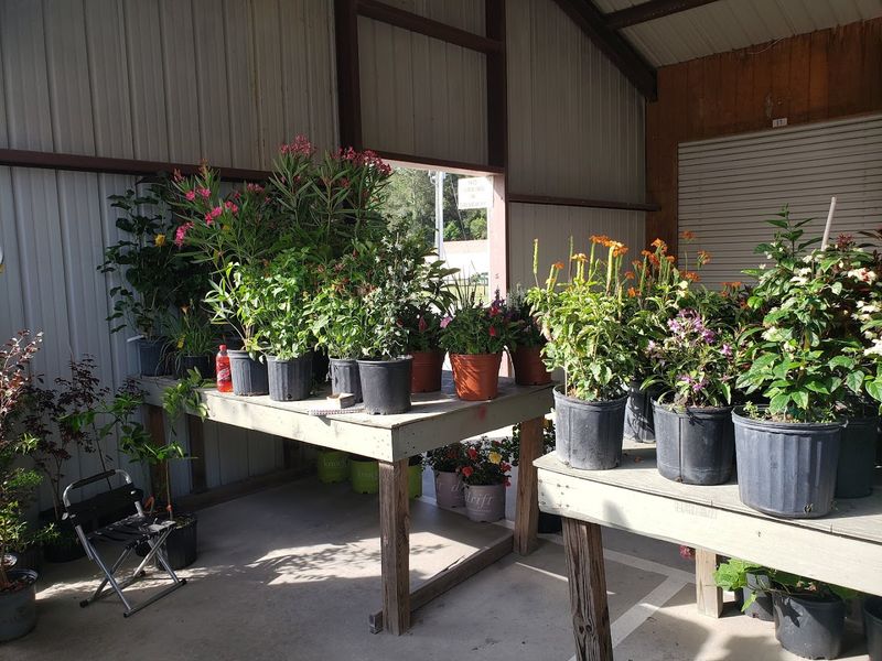 B&B Flea Market, Augusta, Richmond County