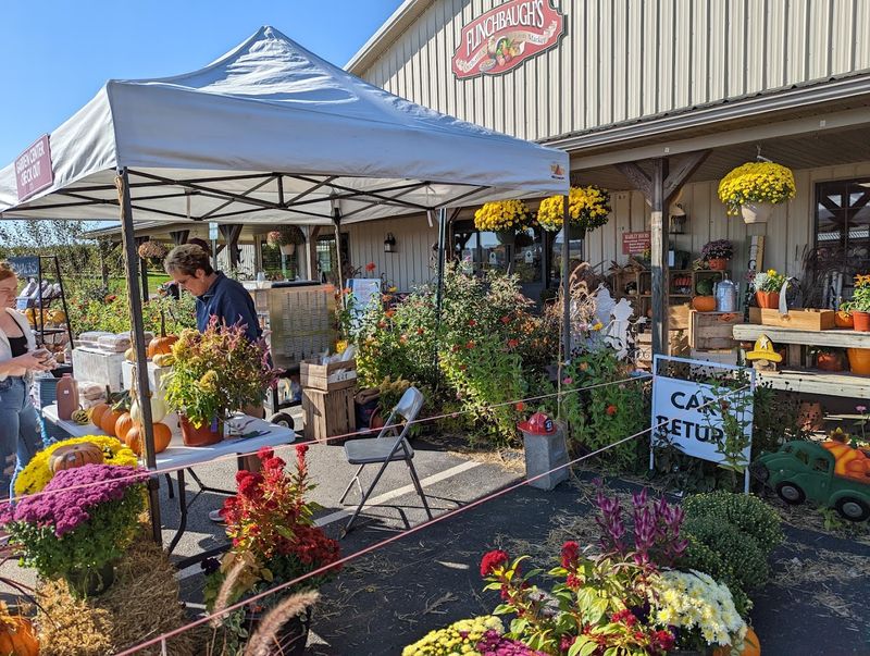 Flinchbaugh's Orchard & Farm Market - Hellam, York County