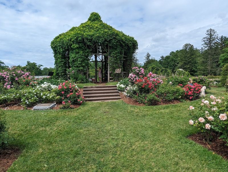 Elizabeth Park