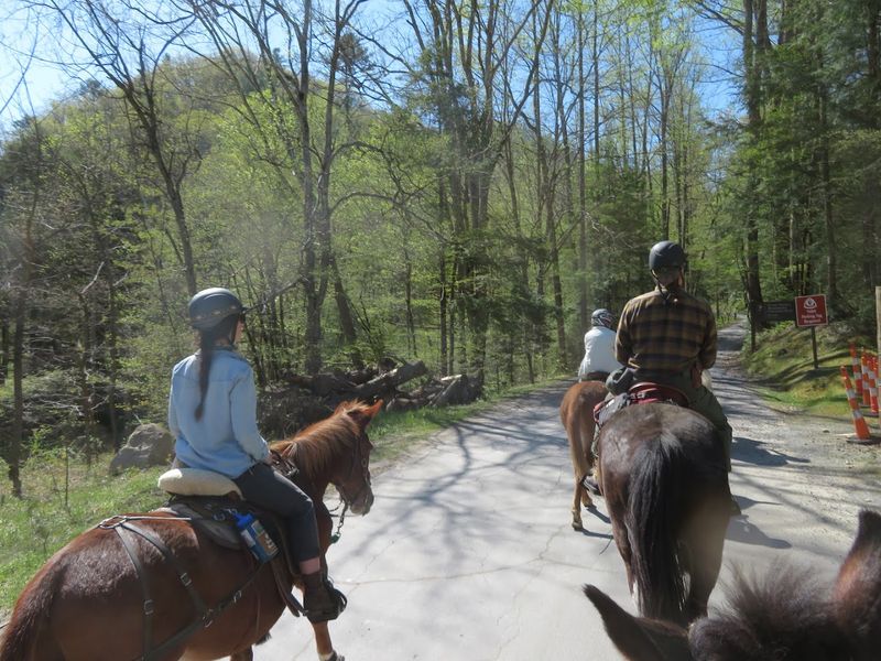 Little Big Creek Horse Camp