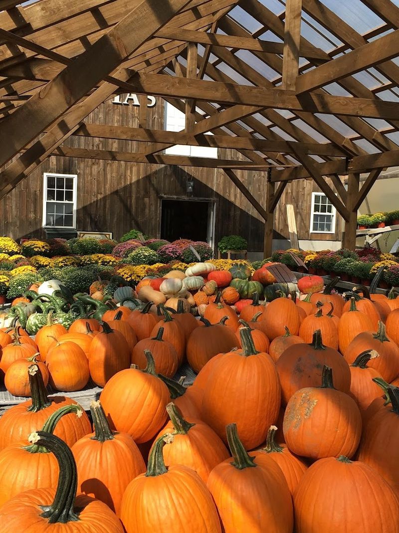 Gotta's Farm and Cider Mill (Portland)