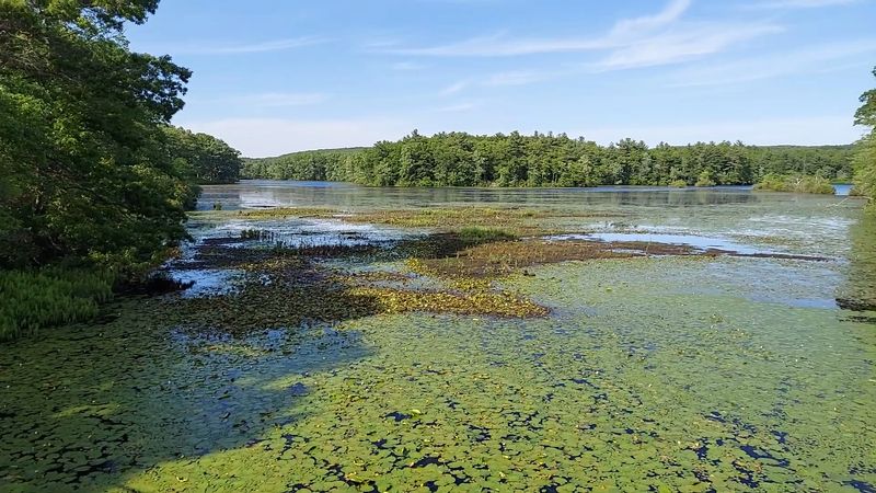 Lake Chaubunagungamaug (Webster Lake)