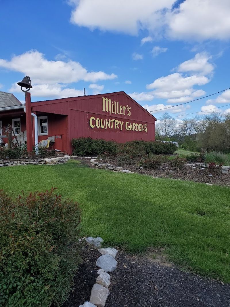 Miller's Country Gardens & Farm Market