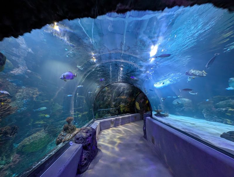 Virginia Aquarium & Marine Science Center - Virginia Beach
