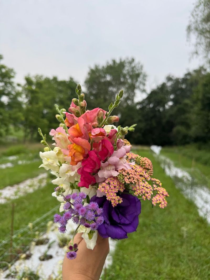 Landon's Gardens