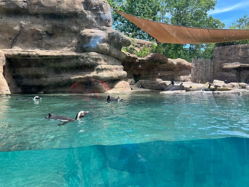 Cincinnati Zoo & Botanical Garden Aquarium Exhibits
