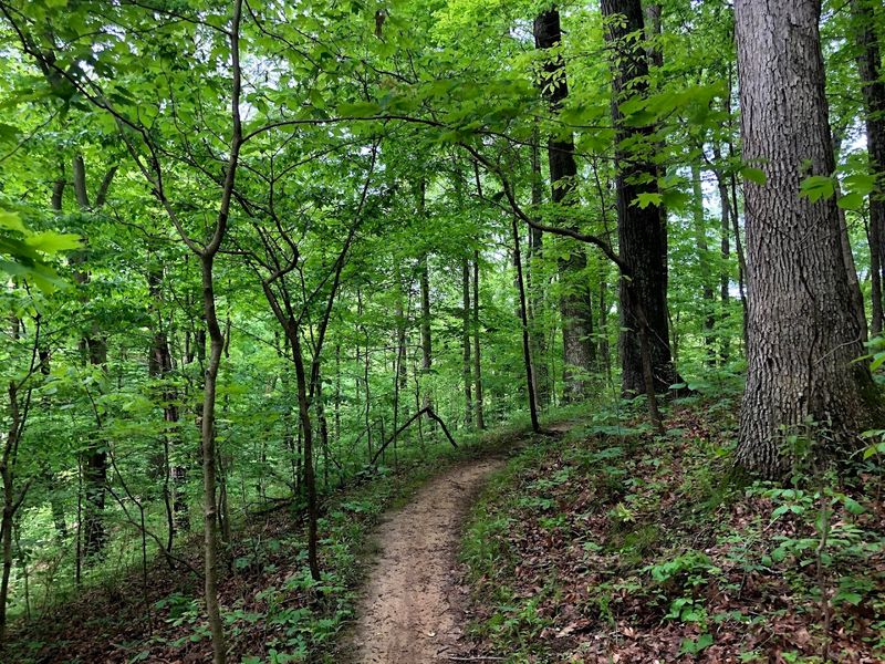 East Fork State Park Trails 