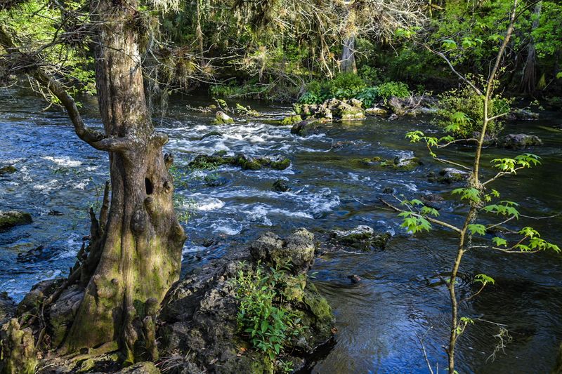 Hillsborough River State Park - Thonotosassa, Hillsborough County