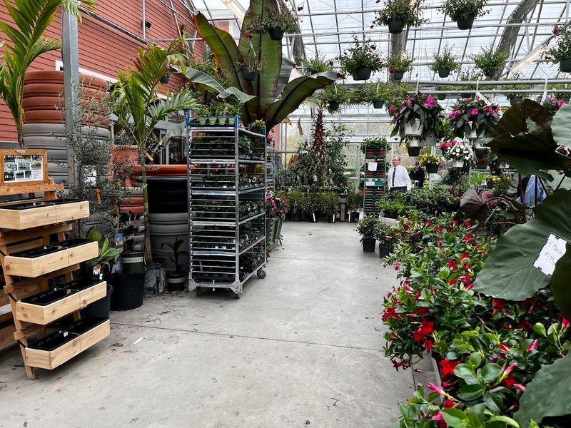 Briggs Nursery
