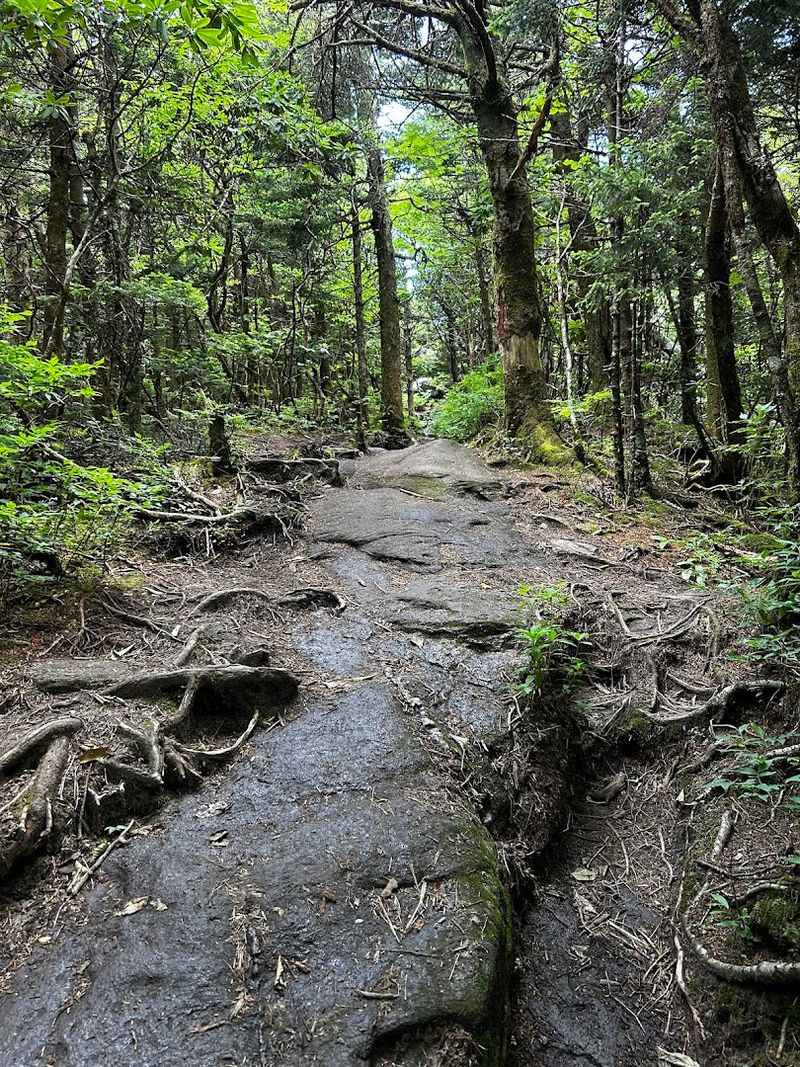 Profile Trail Rocky Adventure