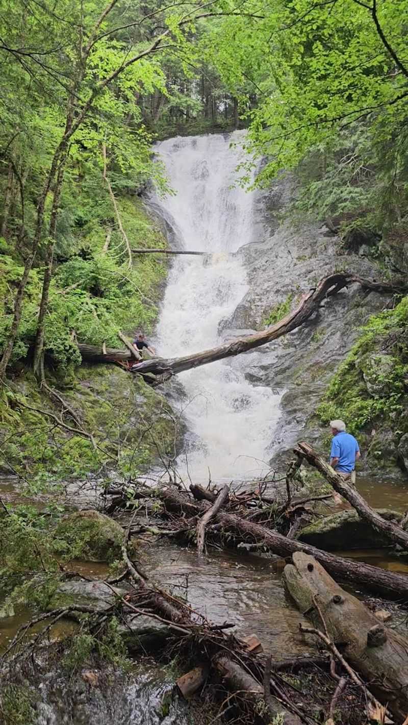 Tannery Falls