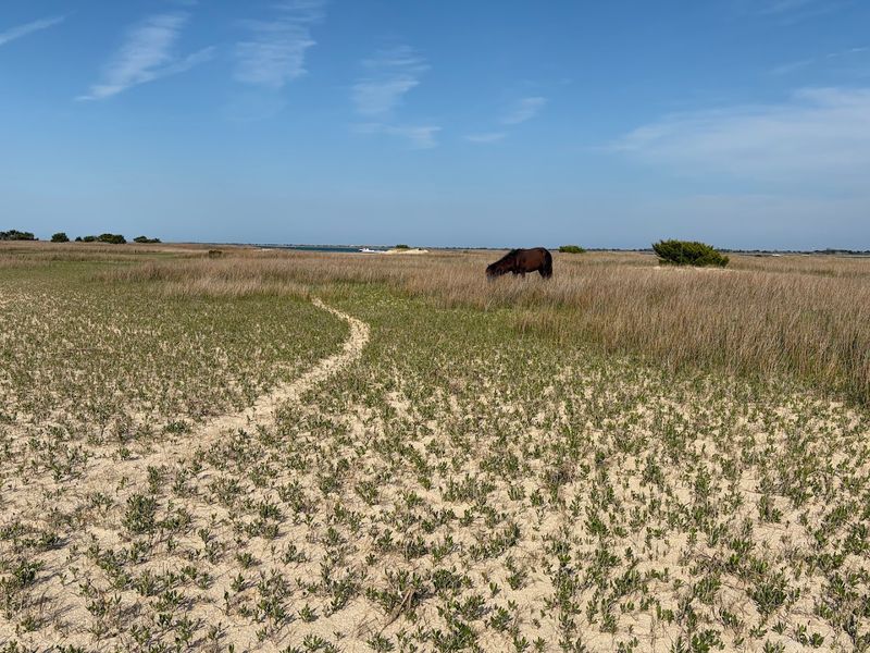 Interior Trails and Dune Exploration