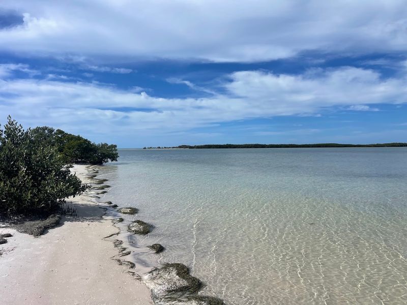Honeymoon Island State Park (North End)