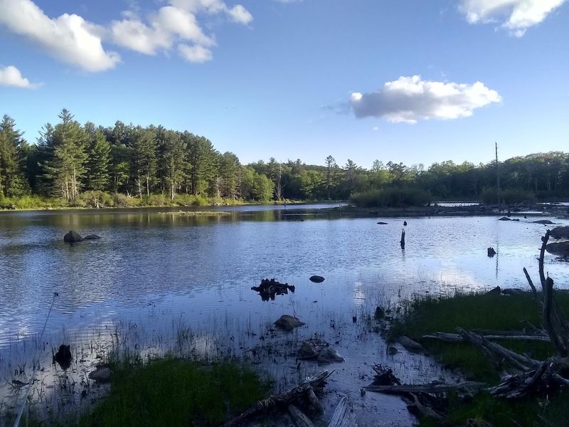 Bantam Lake