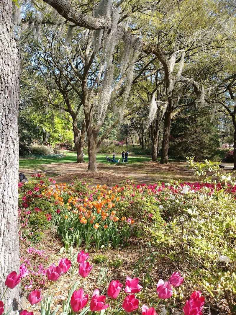 Airlie Gardens – Wilmington