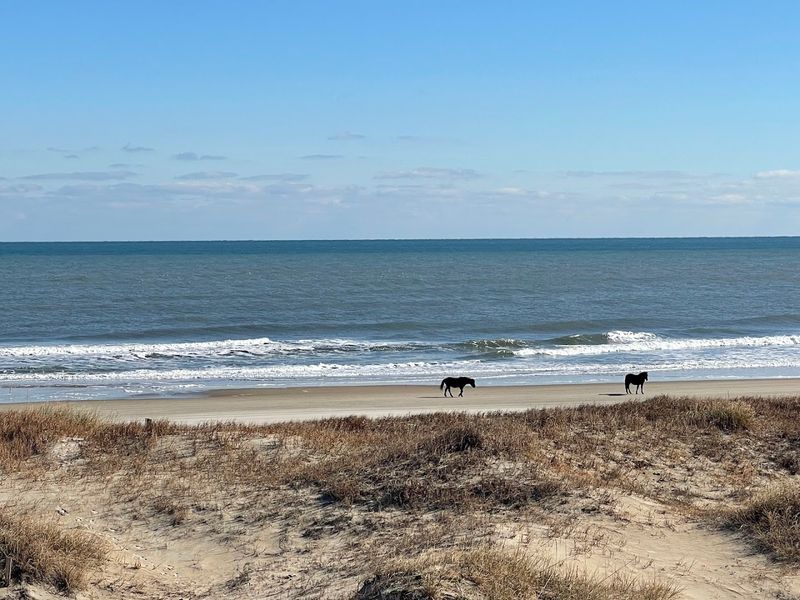 Carova Beach (4x4 Beach)