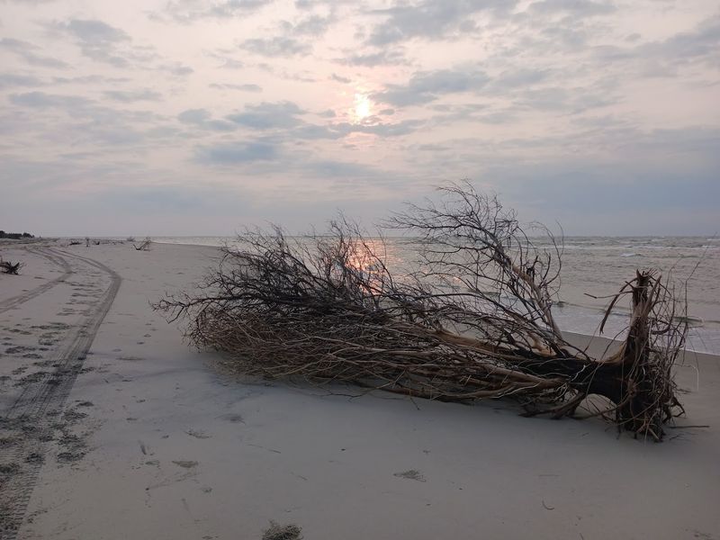 Ocracoke Lifeguard Beach