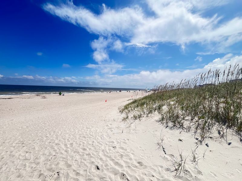 Amelia Island (North End Beaches)
