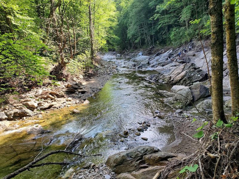 Shining Rock Wilderness - Art Loeb Trail (lower section) 