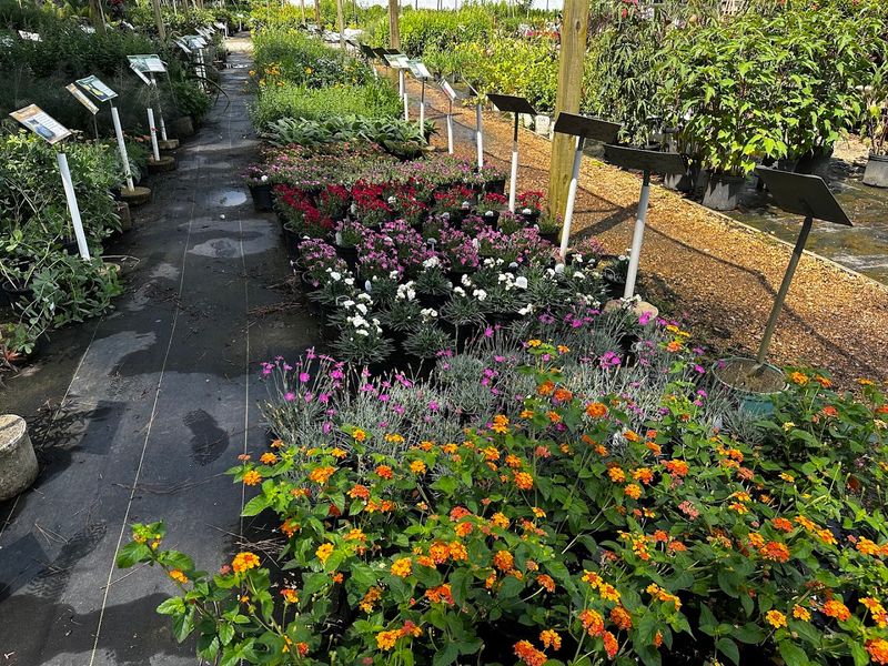 Carolina Seasons Nursery