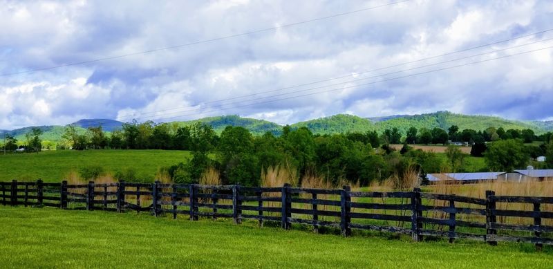 Brushy Mountains Equestrian Area 