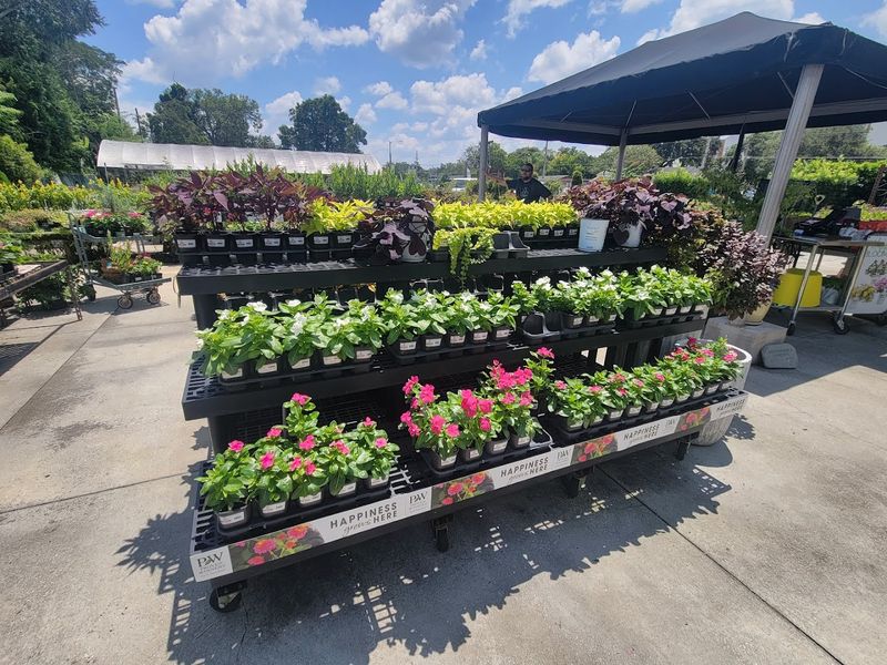 Apenberry&rsquo;s Gardens