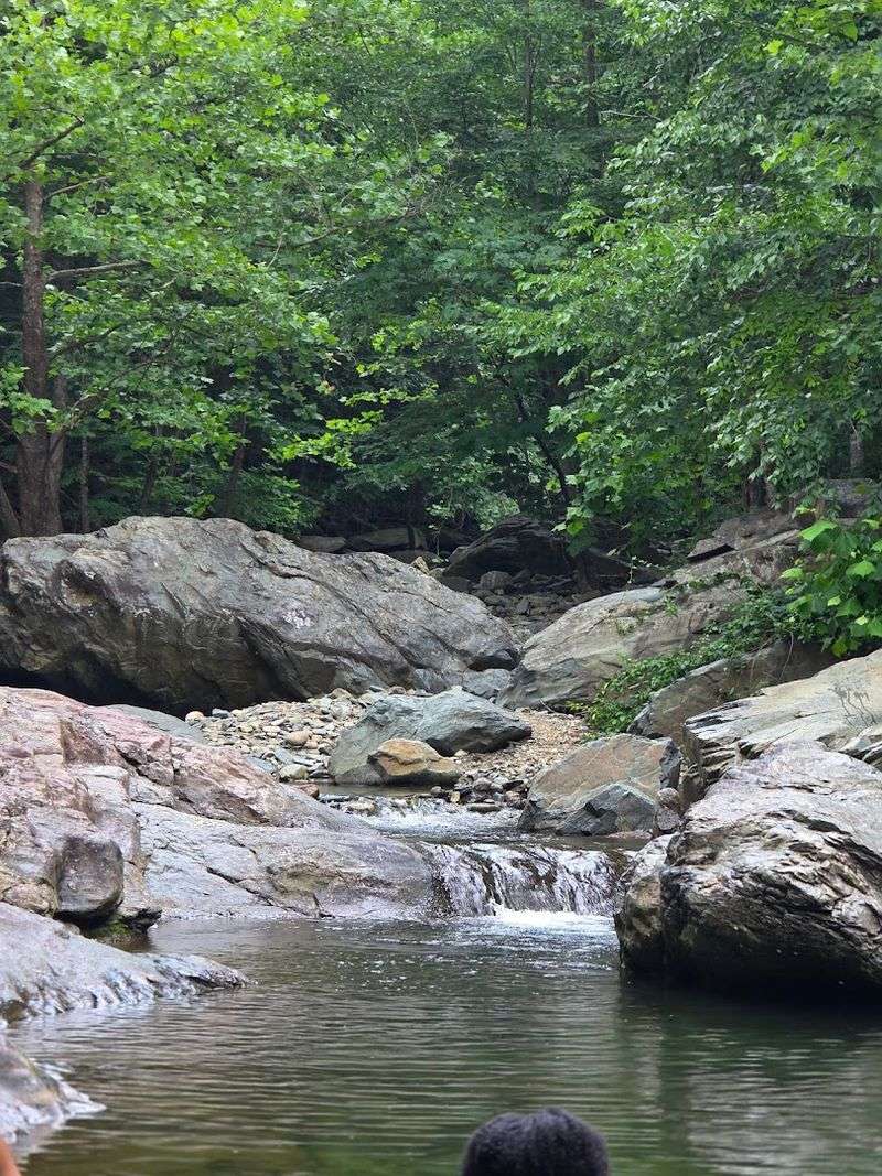 Blue Hole on Moormans River 