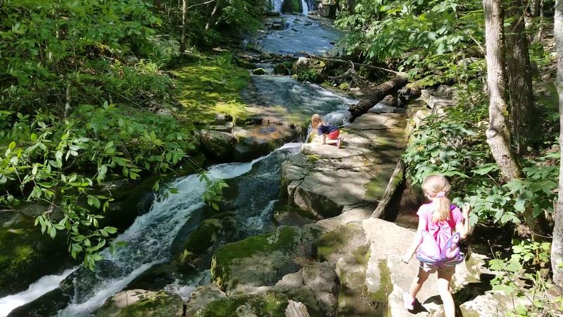 Roaring Run Falls