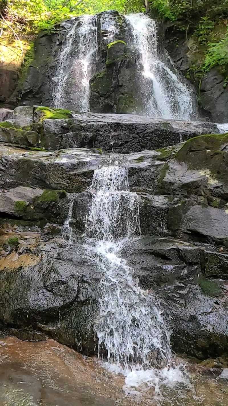 Laurel Falls Trail
