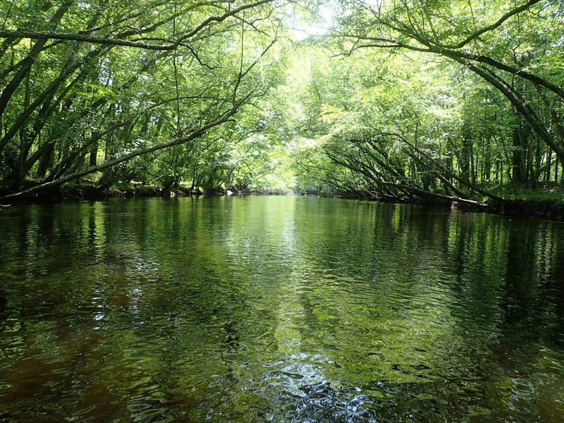 Lumber River
