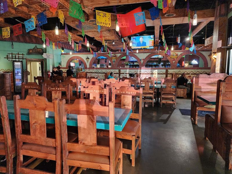 Blue Agave (Fletcher)