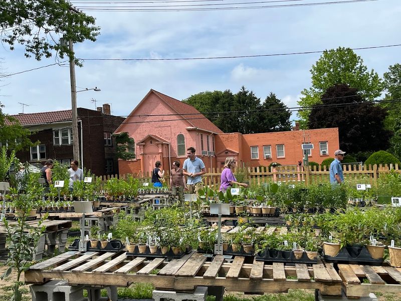 Meadow City Nursery