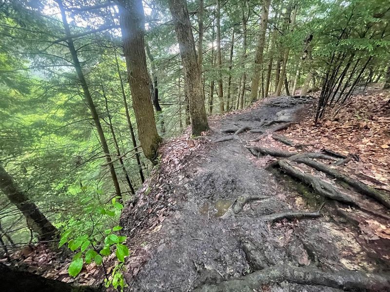Conkle's Hollow Gorge Trail & Rim Trail