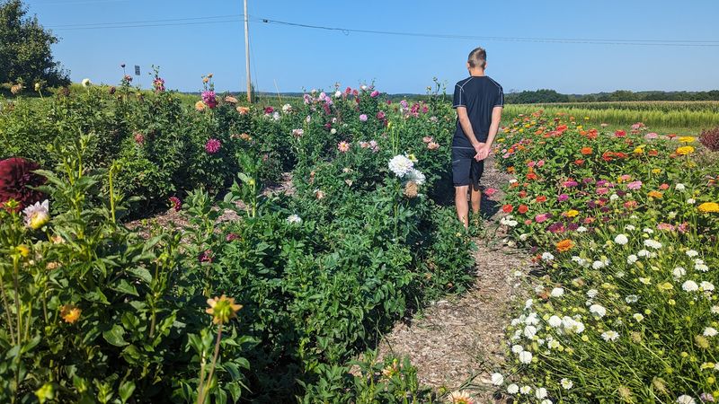 Ochs Farm