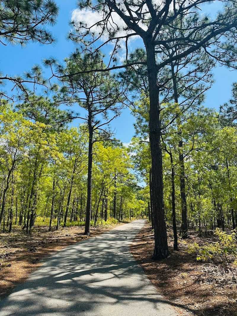 Gary Shell Cross-City Trail