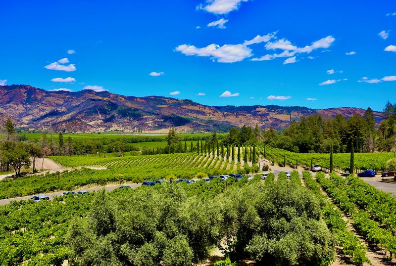 Breathtaking Mountain and Vineyard Views from Every Angle
