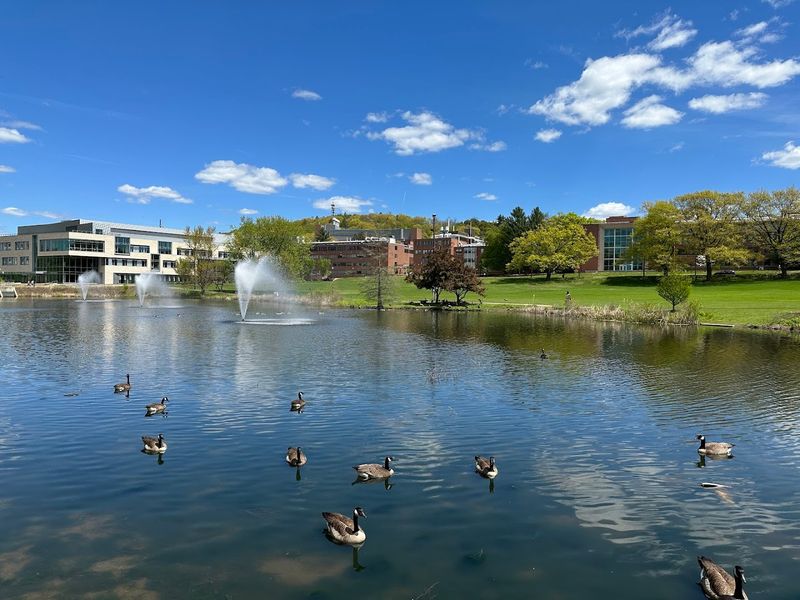 Amherst