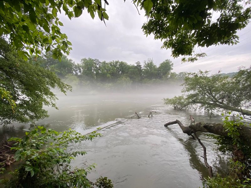 Cochran Shoals Trail - Atlanta (Sandy Springs)