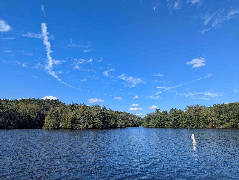 Tolland State Forest