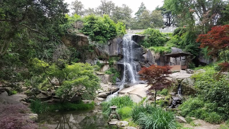 Maymont Nature Center - Richmond, Richmond