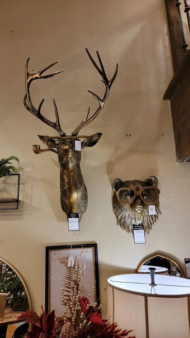 Quirky Finds That Spark Joy and Laughter