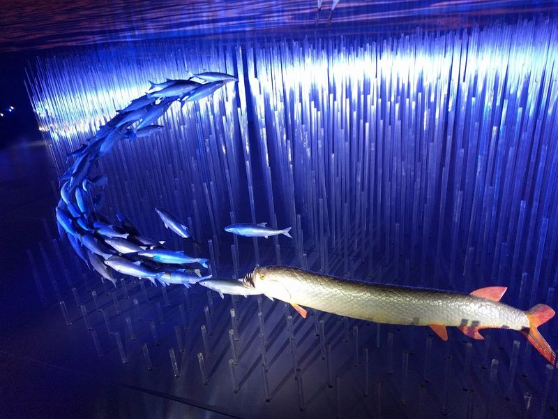 Cleveland Museum of Natural History