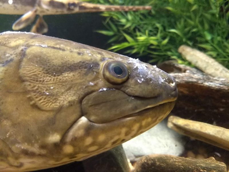 Lake Erie Nature & Science Center Aquatic Exhibits