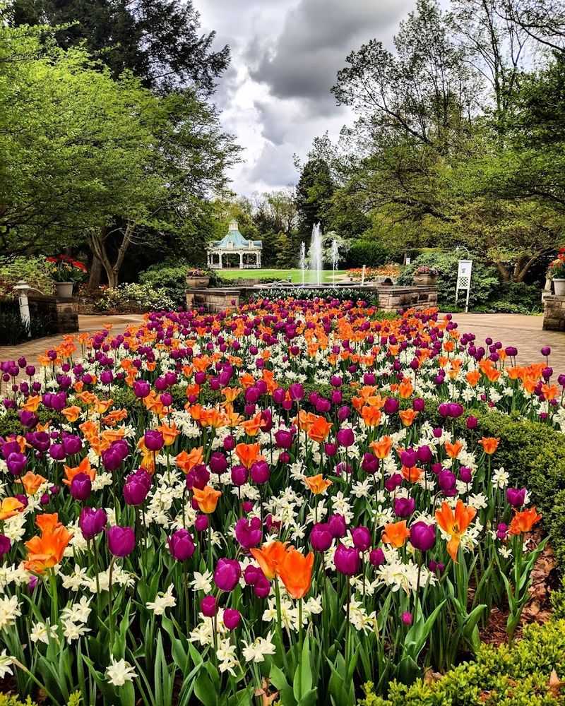 Fellows Riverside Gardens (Youngstown)