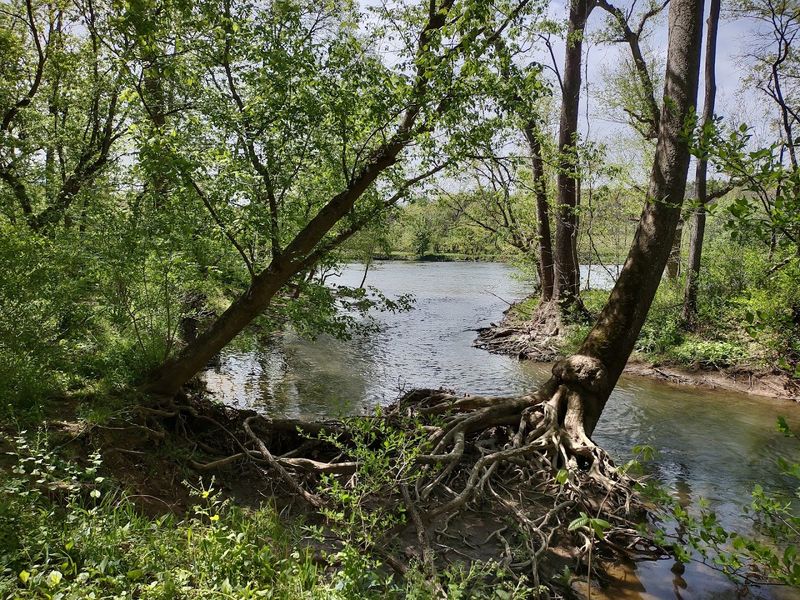 Shenandoah River State Park