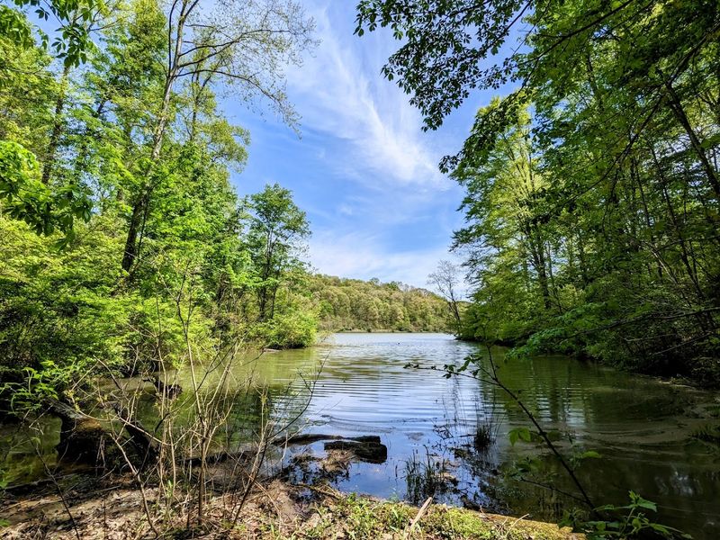 Dow Lake — A Forest-Surrounded Escape