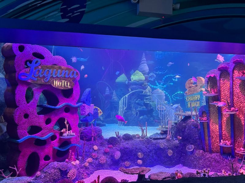SEA LIFE Florida Aquarium