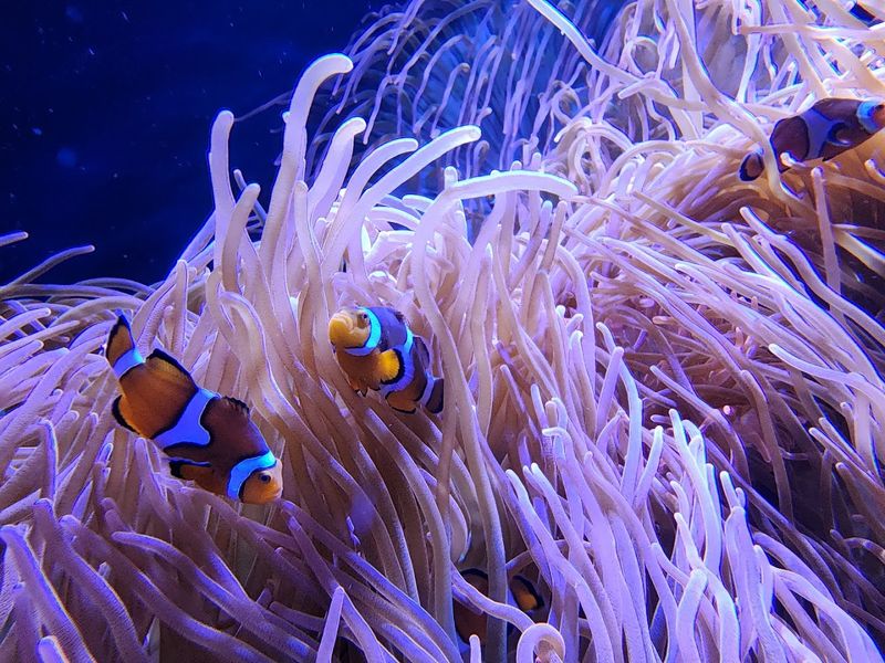Toledo Zoo Aquarium