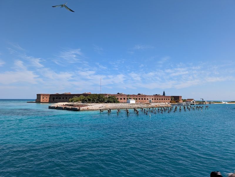 Diving above shipwrecks and corals