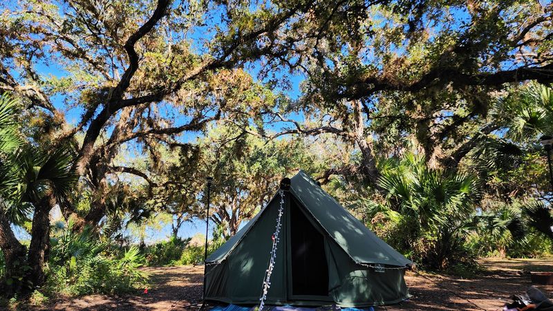 Camping Under Ancient Canopies